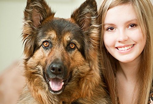 杭州狗狗鼻子出血是怎么回事